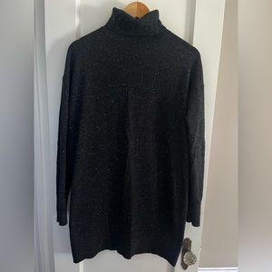 Everlane turtleneck sweater dress
